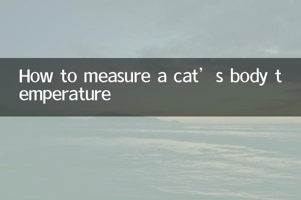 猫的体温怎么测量