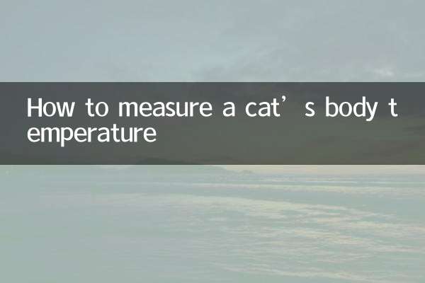 نحوه اندازه گیری دمای بدن گربه