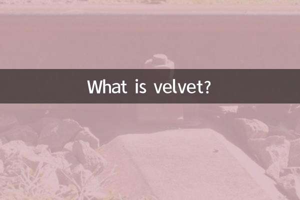 What is velvet?