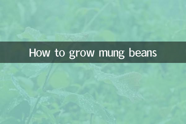 녹두 재배 방법