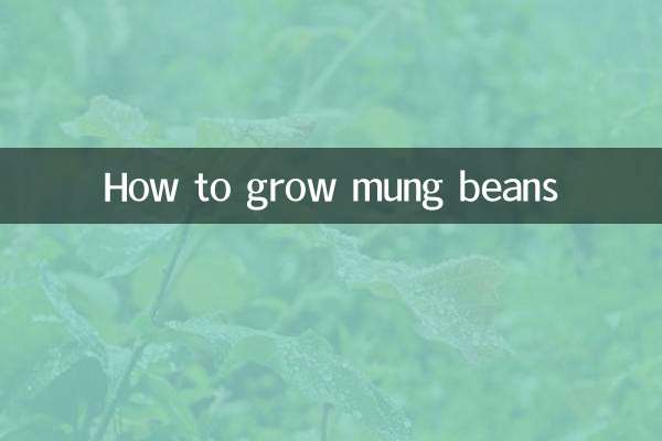 Cómo cultivar frijoles mungos