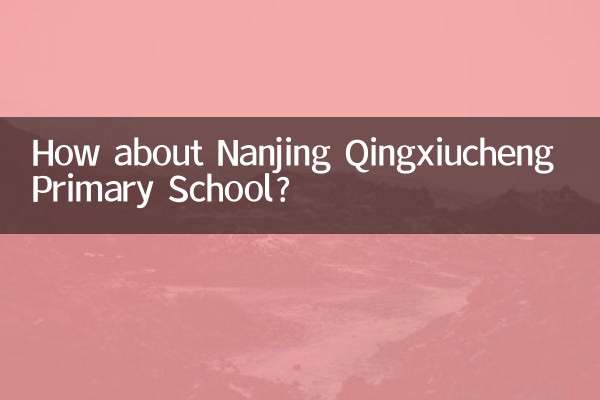 Wie wäre es mit der Nanjing Qingxiucheng Primary School?