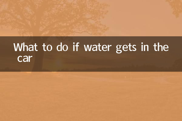 Was tun, wenn Wasser ins Auto gelangt?