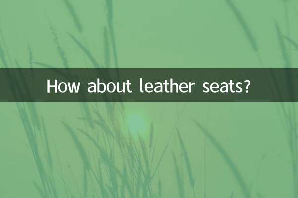 Che ne dici dei sedili in pelle?