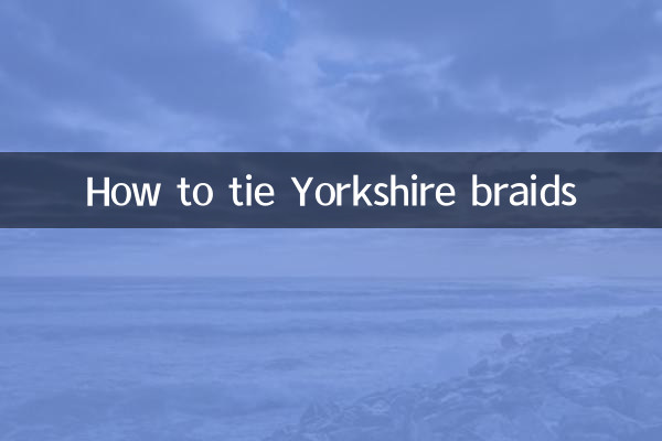 यॉर्कशायर ब्रैड्स कैसे बांधें