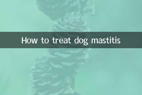 Wie behandelt man Mastitis beim Hund?