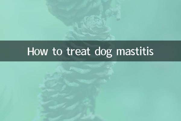 Wie behandelt man Mastitis beim Hund?