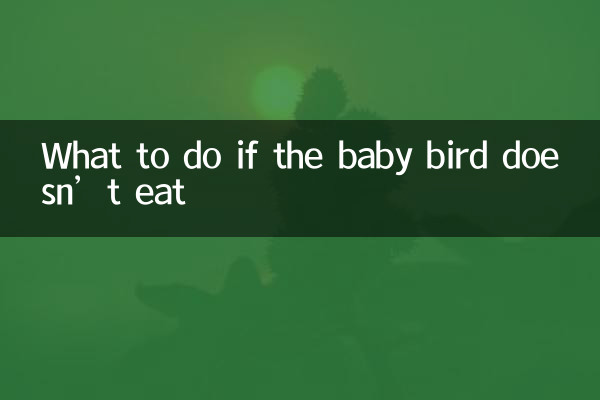 Cosa fare se l'uccellino non mangia