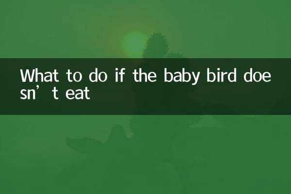 Cosa fare se l'uccellino non mangia