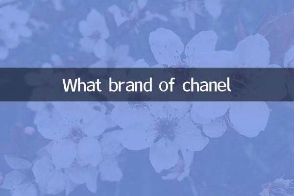chanel是什么牌子