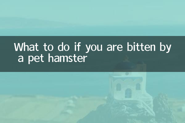 O que fazer se você for mordido por um hamster de estimação
