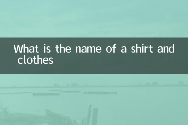 衬衫头衣服叫什么