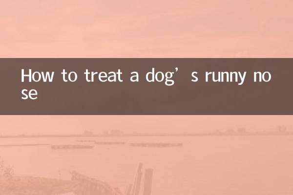 How to treat a dog’s runny nose