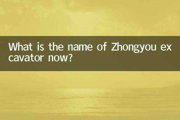 Quel est le nom de la pelle Zhongyou maintenant ?