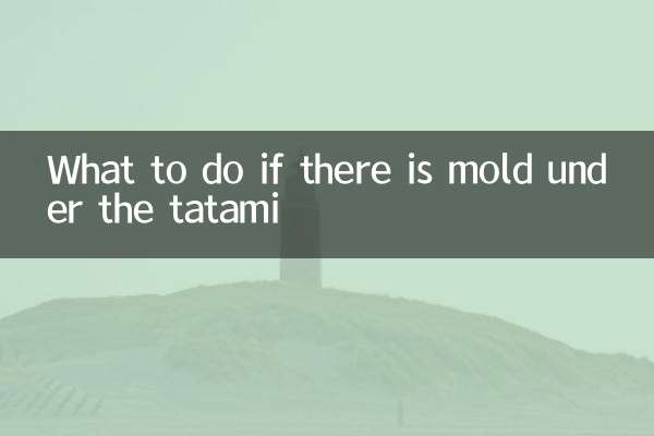 Cosa fare se sotto il tatami c'è della muffa?