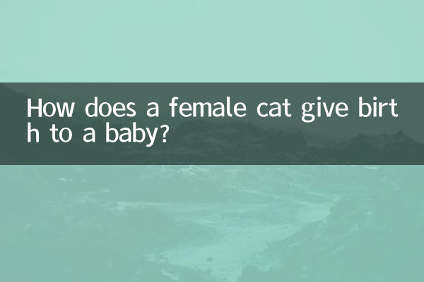母猫怎么生孩子