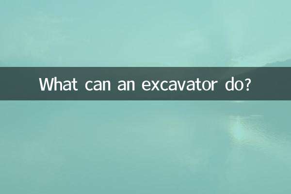 What can an excavator do?