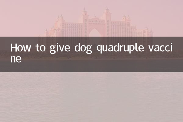 كيفية إعطاء اللقاح الرباعي للكلاب