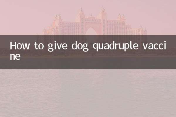 কিভাবে কুকুরকে চারগুণ টিকা দিতে হয়