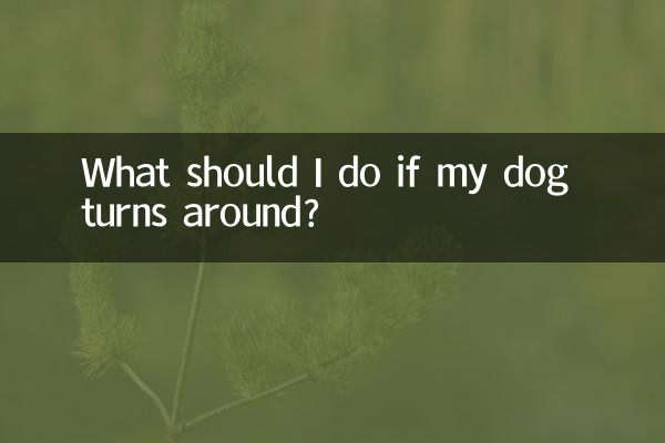 Que dois-je faire si mon chien se retourne ?