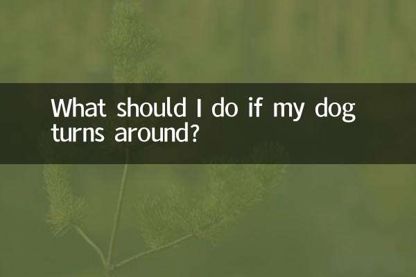 আমার কুকুর ঘুরলে আমার কি করা উচিত?