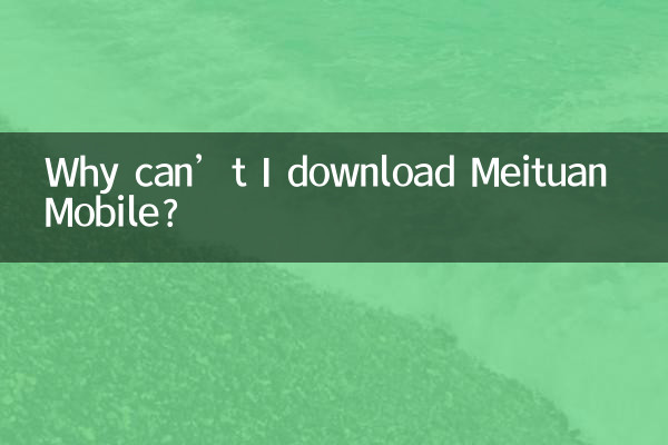 Meituan Mobile을 다운로드할 수 없는 이유는 무엇입니까?