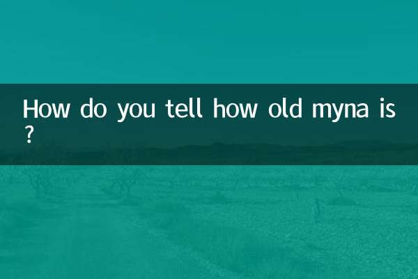 九官鳥の年齢はどうやってわかりますか？