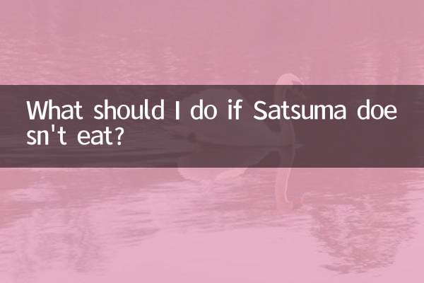 薩摩不吃飯怎麼辦