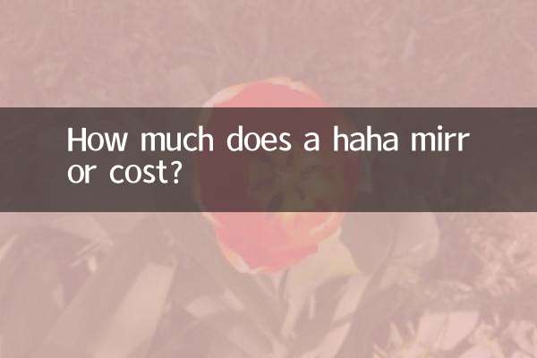 하하 거울 비용은 얼마인가요?