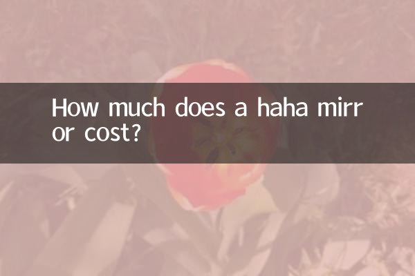 ハハミラーの値段はいくらですか?