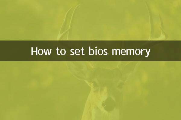 How to set bios memory