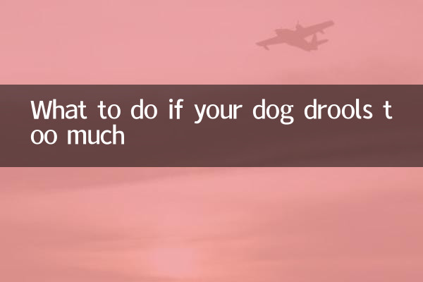 What to do if your dog drools too much