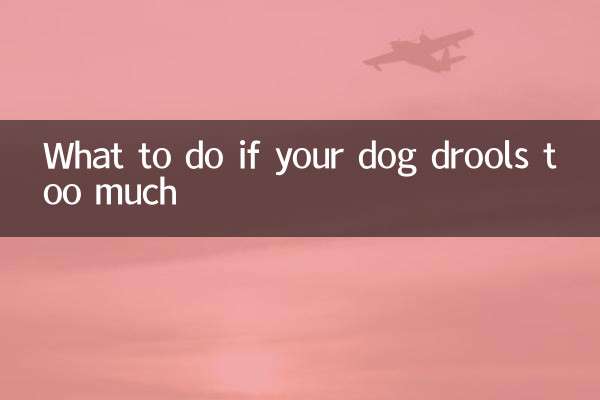 What to do if your dog drools too much