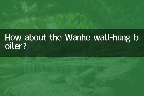 벽걸이 보일러 Wanhe는 어떻습니까?