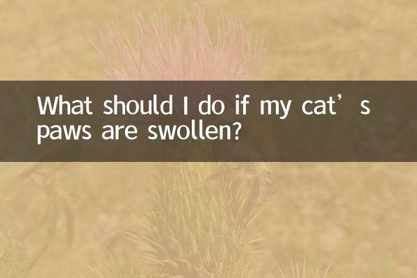यदि मेरी बिल्ली के पंजे सूज गए हों तो मुझे क्या करना चाहिए?