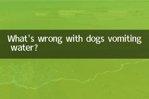 ما هو الخطأ في تقيؤ الكلاب الماء؟