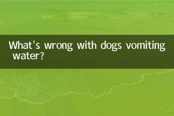 ما هو الخطأ في تقيؤ الكلاب الماء؟