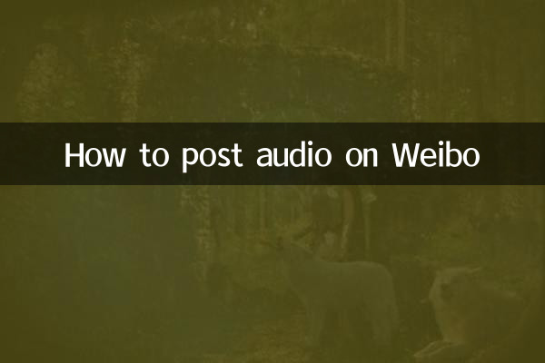 كيفية نشر الصوت على ويبو