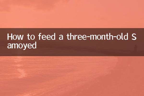 三个月的萨摩耶怎么喂