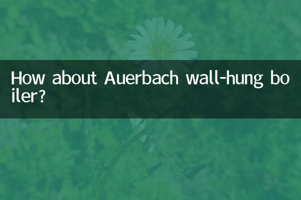アウエルバッハ壁掛けボイラーはどうでしょうか?