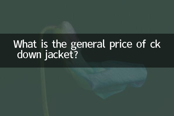 ck羽绒服一般什么价格