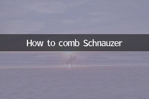 কিভাবে Schnauzer চিরুনি