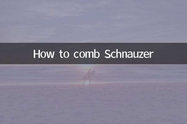 কিভাবে Schnauzer চিরুনি