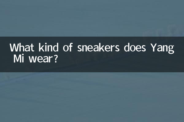 Quel genre de baskets porte Yang Mi ?