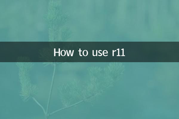 R11 का उपयोग कैसे करें