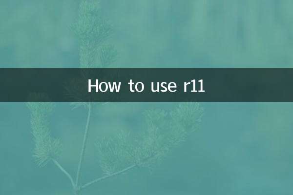 কিভাবে r11 ব্যবহার করবেন