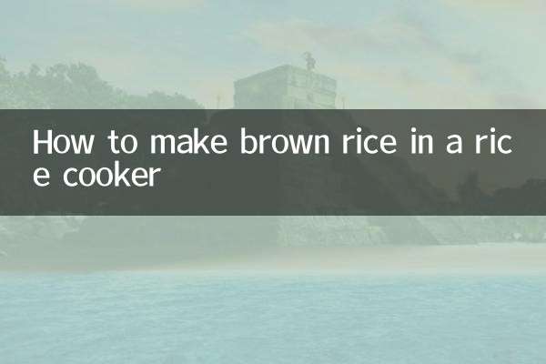 طرز تهیه برنج قهوه ای در پلوپز