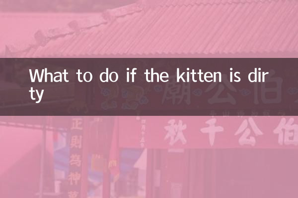 小猫脏了怎么办