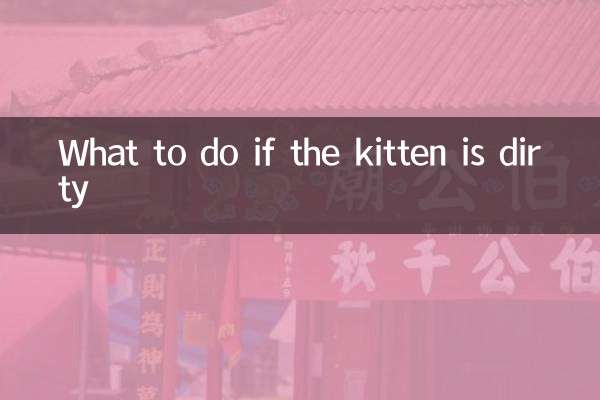 Was tun, wenn das Kätzchen schmutzig ist?