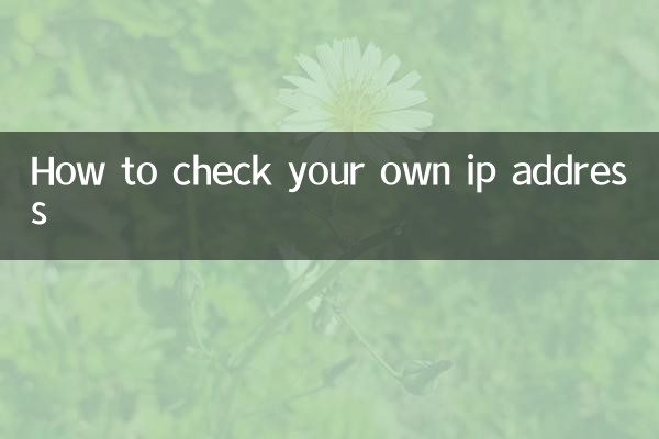 How to check your own ip address